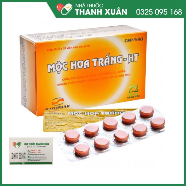 Mộc hoa trắng - Thảo dược trị tiêu chảy, lỵ Amid